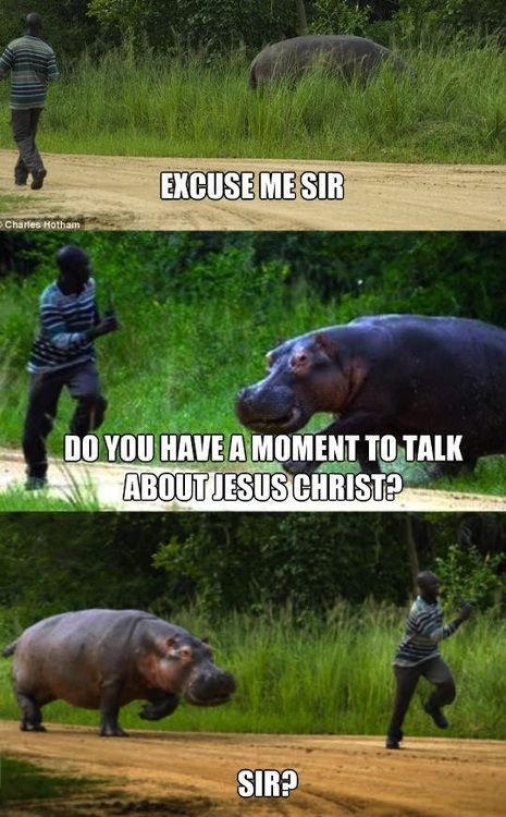Hahahaha. Jehovah's Witness hippo