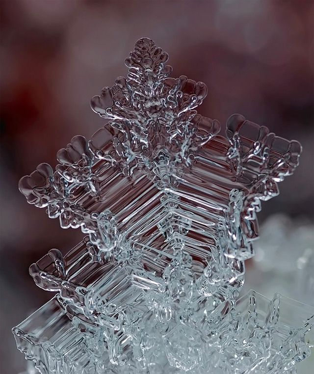 Macro Photographs of Ice Structures and Snowflakes