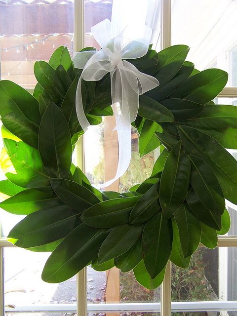 Magnolia Tree Wreath. Now where can I steal some leaves….? This is probably a