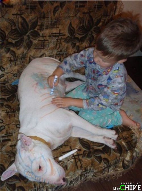 Oh you know…just coloring the dog…