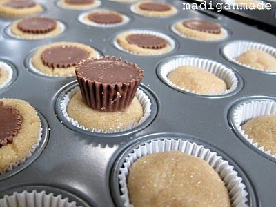 Peanut butter cup sugar cookie cupcakes