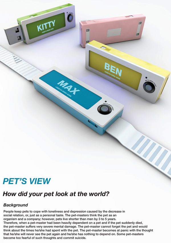Pet's view camera.  Would be cool to have to see what Charlie always barks a