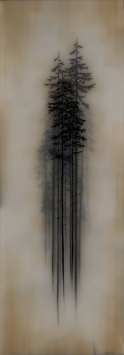 Shane Salzwedel