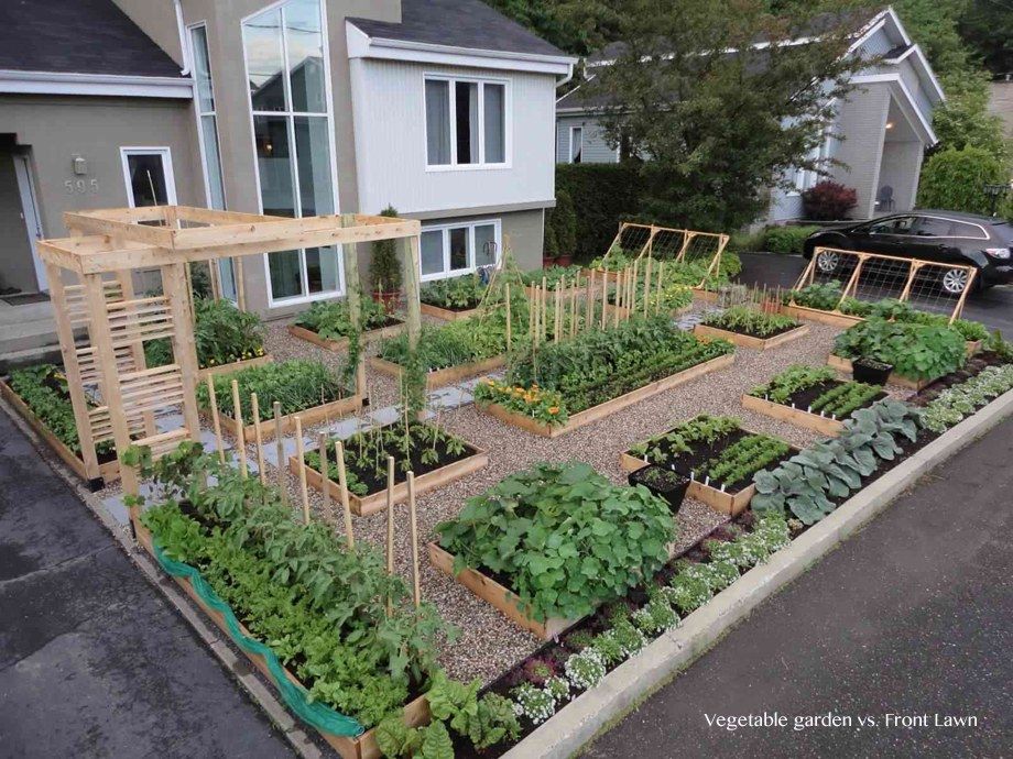 Vegetable Garden love
