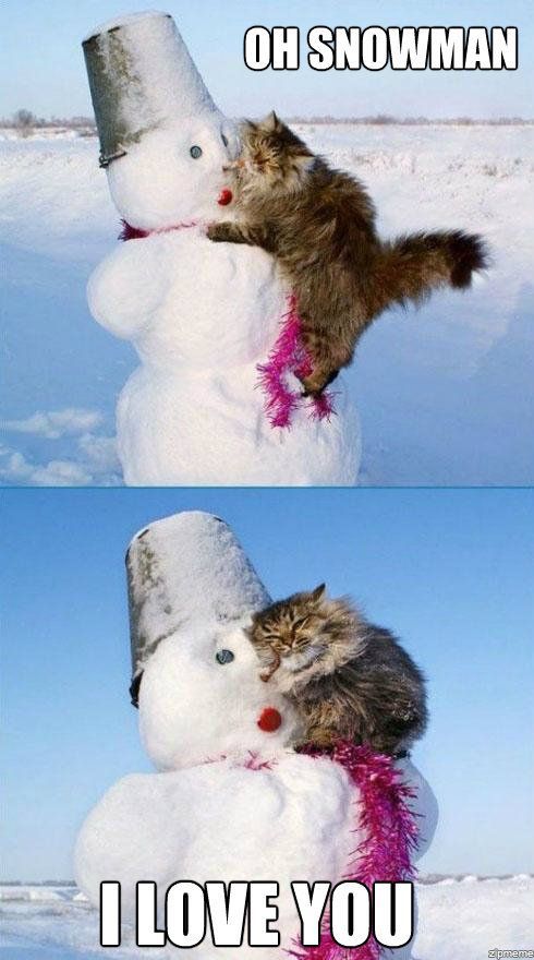 cat-loves-snowman