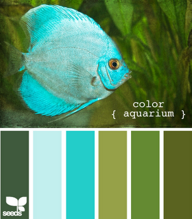 color palette inspirations-aquarium