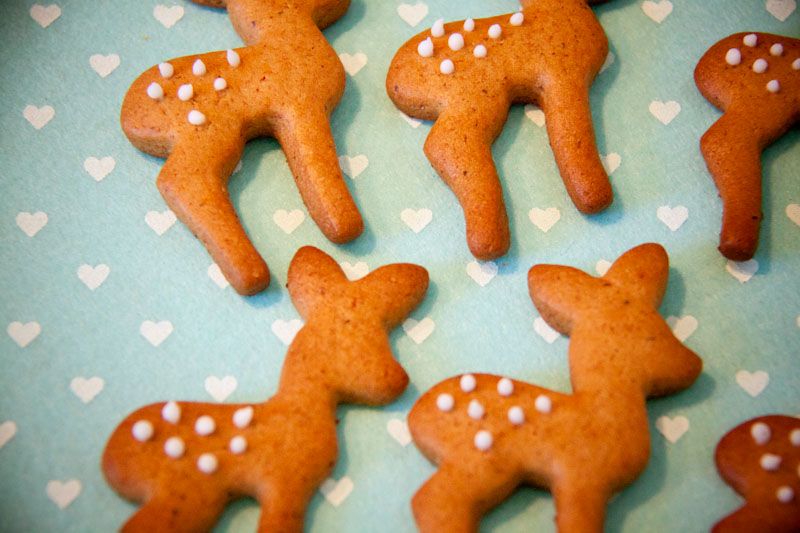 deer gingerbread cookies (icing example)