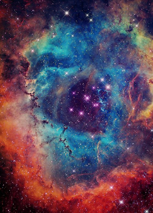 the Rosette Nebula