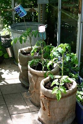 DYI – covering 5 gallon buckets with burlap and twine!  So going to do this!!!