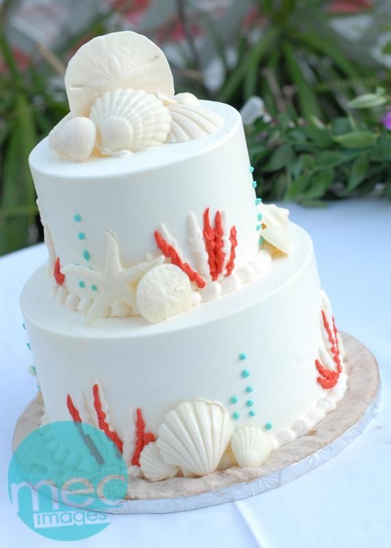 Gorgeous beach themed cake with coral and teal details