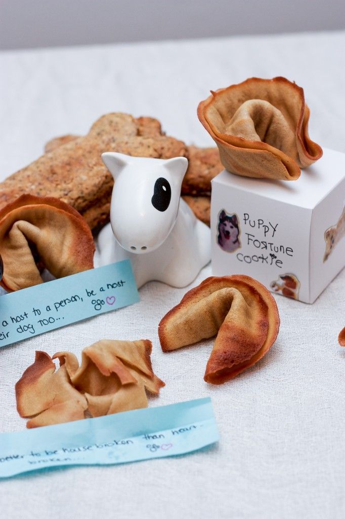 Homemade Dog Fortune Cookies