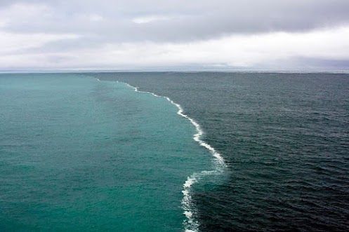 Where two oceans meet but do not mix. Gulf of Alaska.    I wanna see this