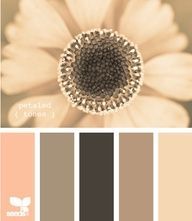 Gorgeous! I'm in love a little bit (website that has 100s of color pallet co