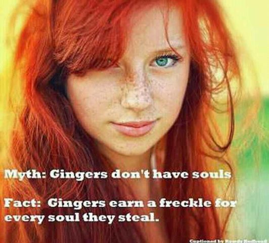 LOL! I HATE the label ginger but it tickles my funny bone about: redheads earn a