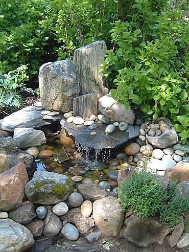 Small water garden