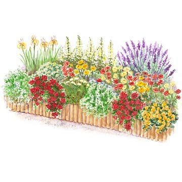 This site is so cool, you can download full garden plans that tell you what to p