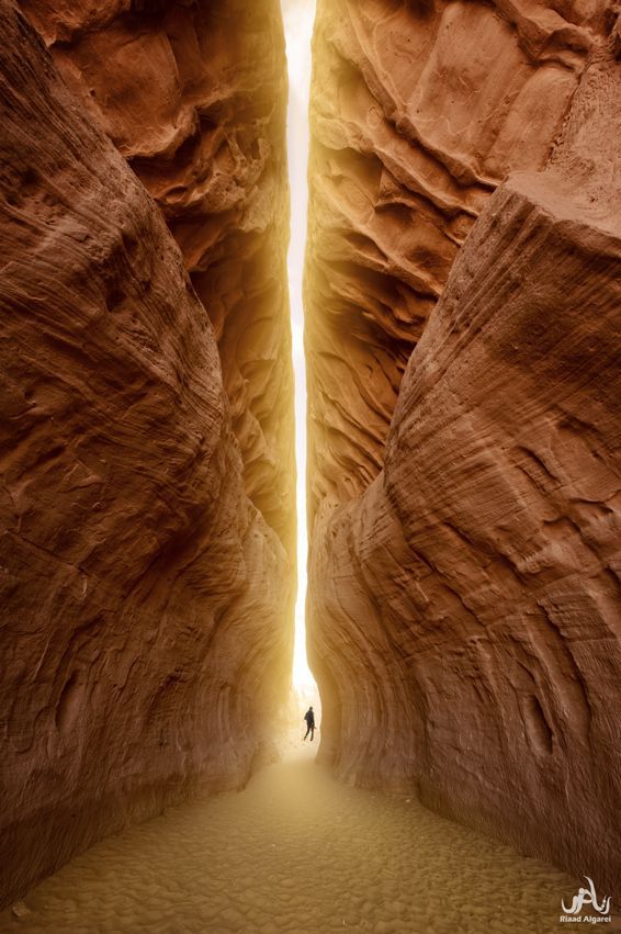 Tunnel of Light /  رياض الجر&#15