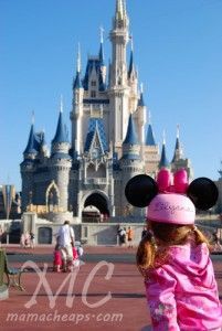 Walt Disney World: Tips and Tricks for Exploring the Magic Kingdom with a Toddle