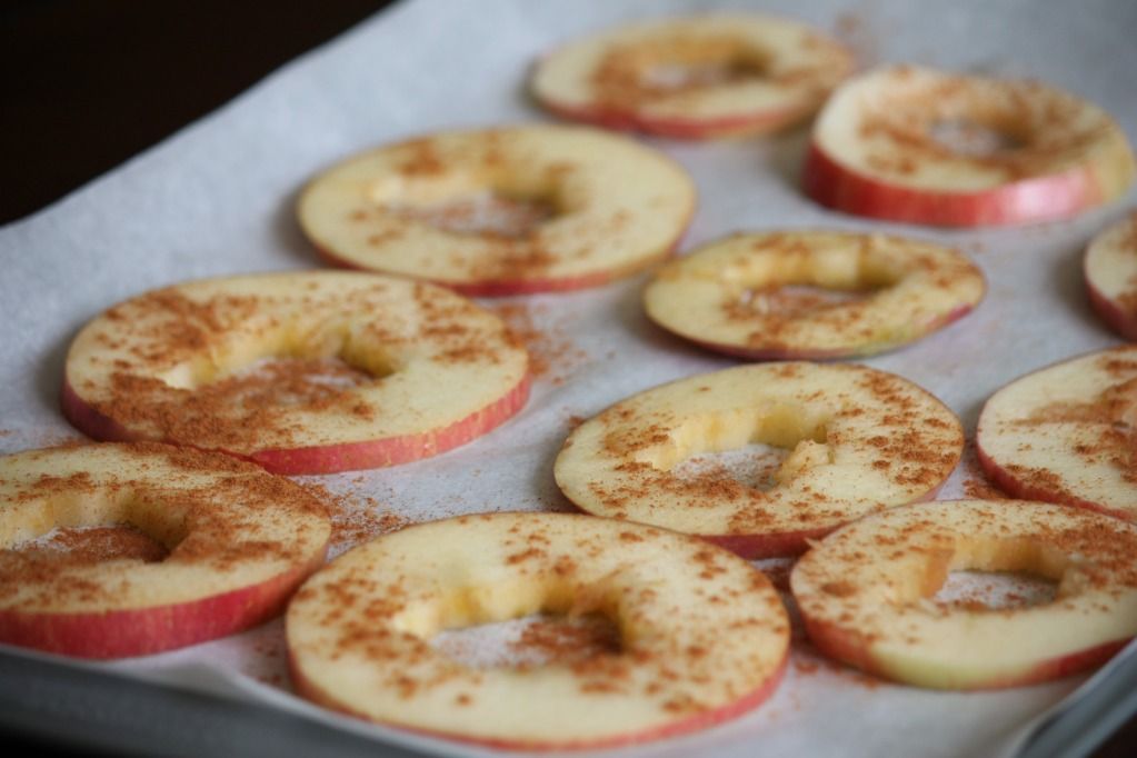 apples + cinnamon + oven @ 275 degrees for 2 hours = healthy homemade apple chip