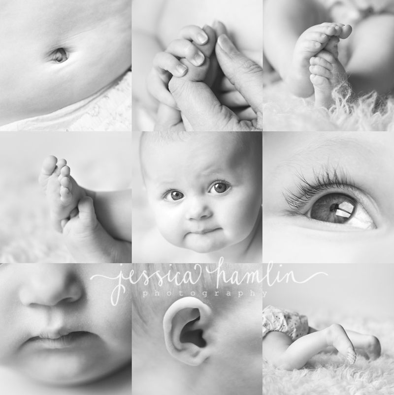 6 month baby photo shoot–direct link