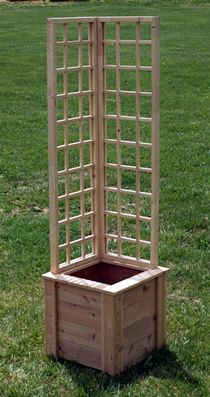 A well-placed trellis increases growing space and improves access to light and a