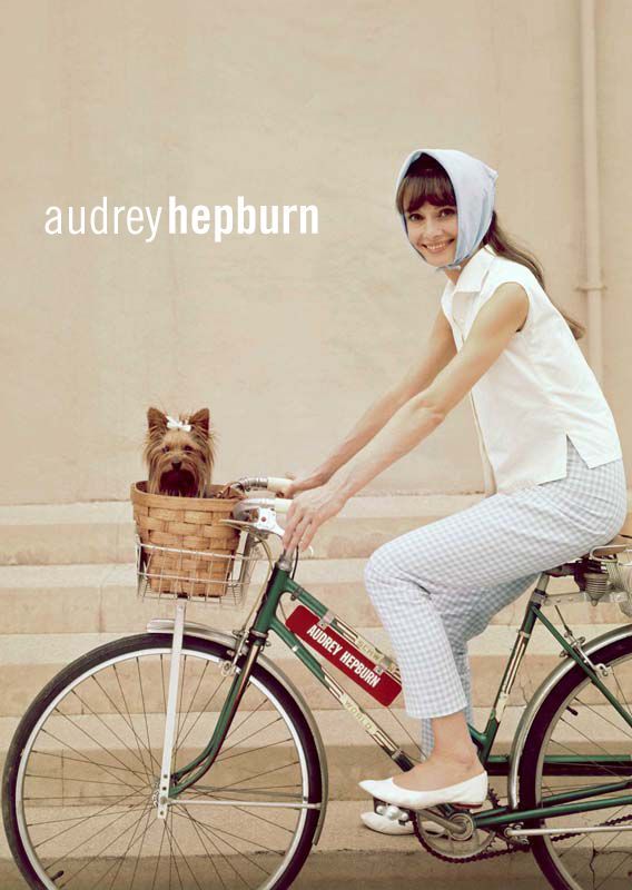 Audrey Hepburn – Vintage Bike – Yorkie Dog