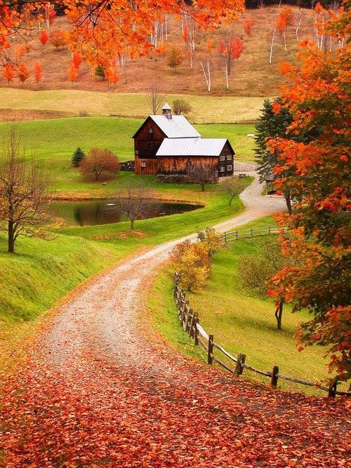 Autumn! I want to live here..or have a second home here…wherever this happens