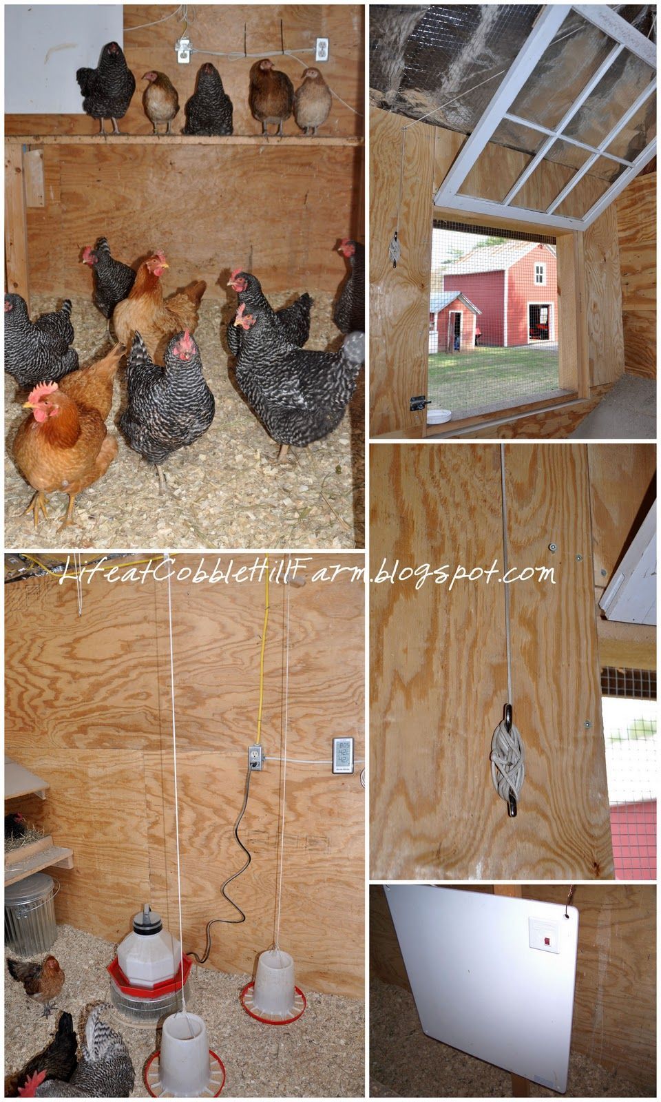 Chicken Coop 101: Thirteen Lessons We've Learned. I personally would never w