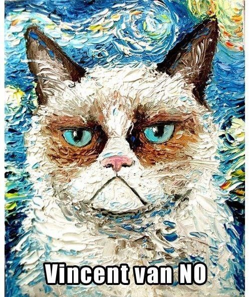 Grumpy Cat says…