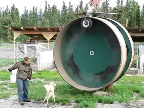 Huskey Exercise Wheel | Video