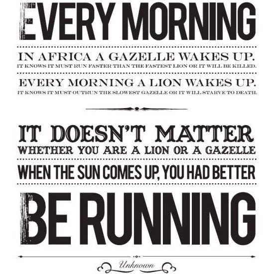 It doesn't matter whether you are a lion or a gazelle – when the sun comes u