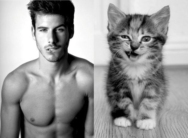 12 Hot Men And Their Feline Counterparts