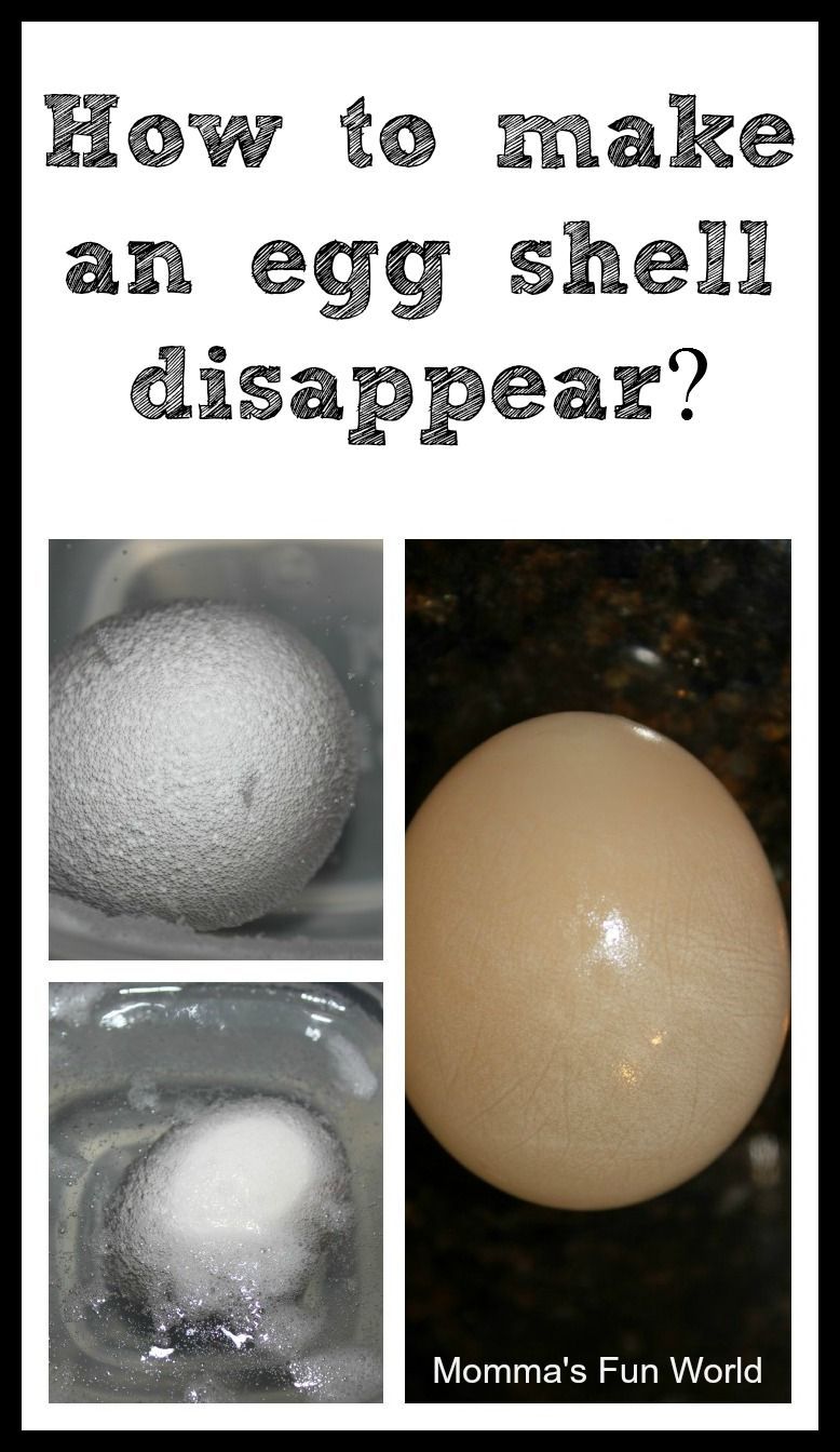 3 Egg science experiments you can do with 1 egg over the course of a few days.