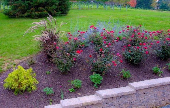 Beautiful front yard landscaping ideas
