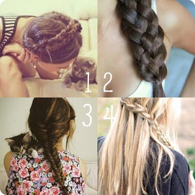 Braids, Braids, Braids.