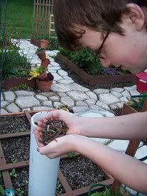 DIY Worm Tubes in your garden – people put one in each corner and feed in differ