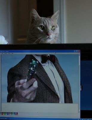 Doctor Who  Doctor Mew