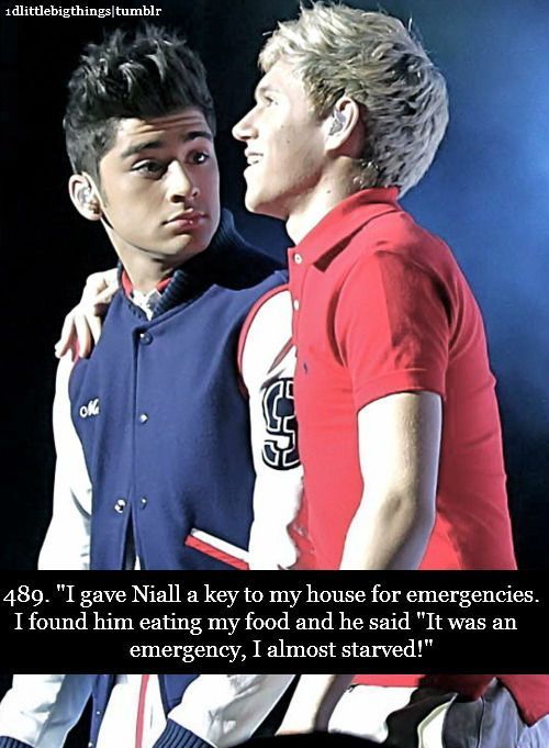 EEEEEKKKKKKK!!!! just go with it zayn what would the world do without niall????o