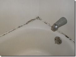 GOTTA remember this!!! Easy way to get rid of mold in shower caulk – Someone els