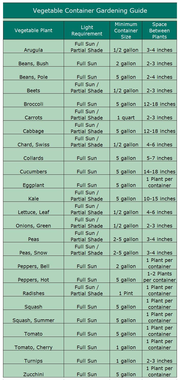 Growing Vegetables In Containers … You never know when you'll need this