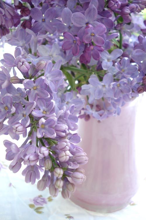 Lilacs – #lilacs #inspiration #design #lavender #purple #flowers #spring