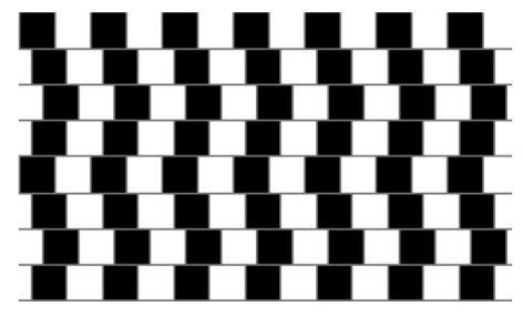 Optical illusions for Webelos Scientist Activity Pin