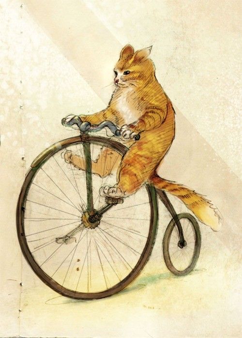 ginger on bike