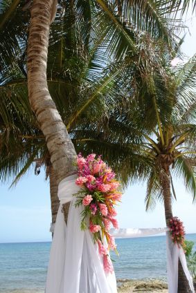 nice idea for palm tree decorations and accents