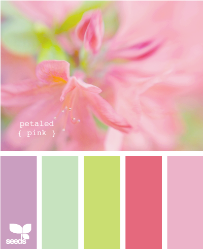 petaled pink-these colors would work for my living room—Maybe? more purple and