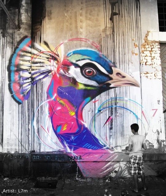 Brazilian graffiti bird art