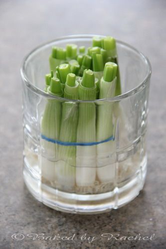 Grow your own green onions…much faster than celery. Next time you buy green on