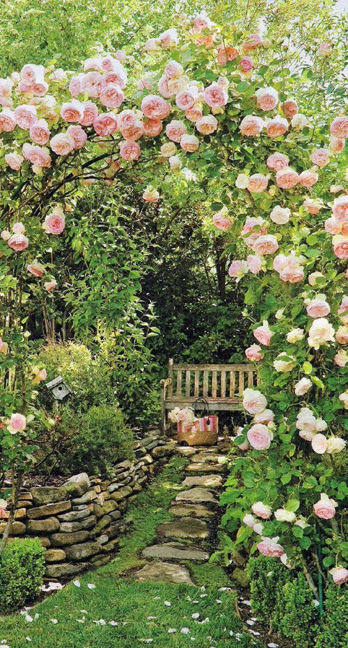 Jardin secrГ©te. Gorgeous pergola full of roses.
