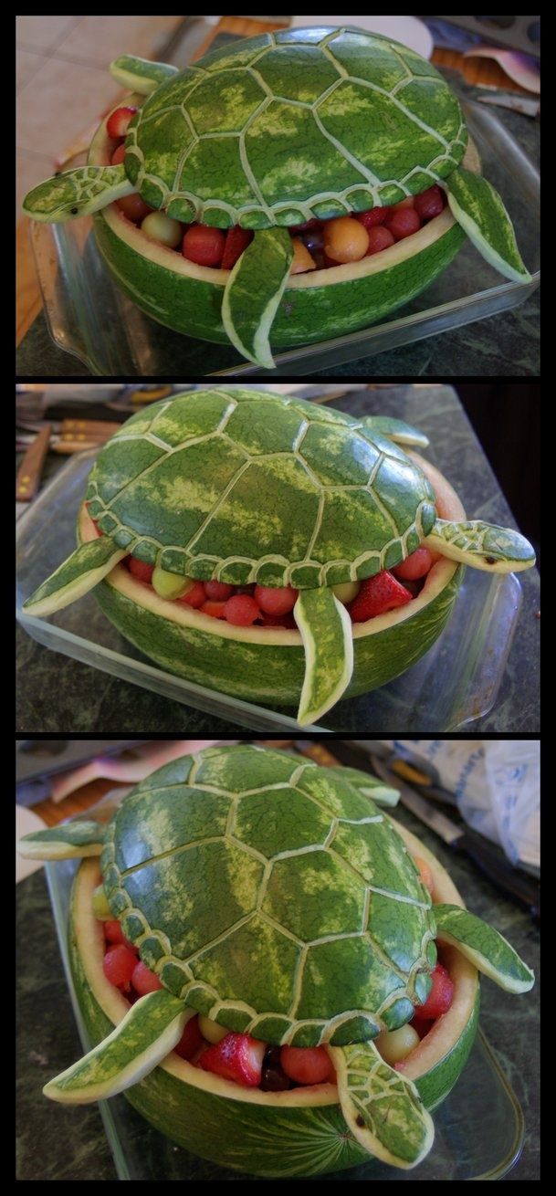 Watermelon Sea Turtle