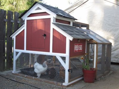 Cute #Coop for the Urban #homesteader  #chickens